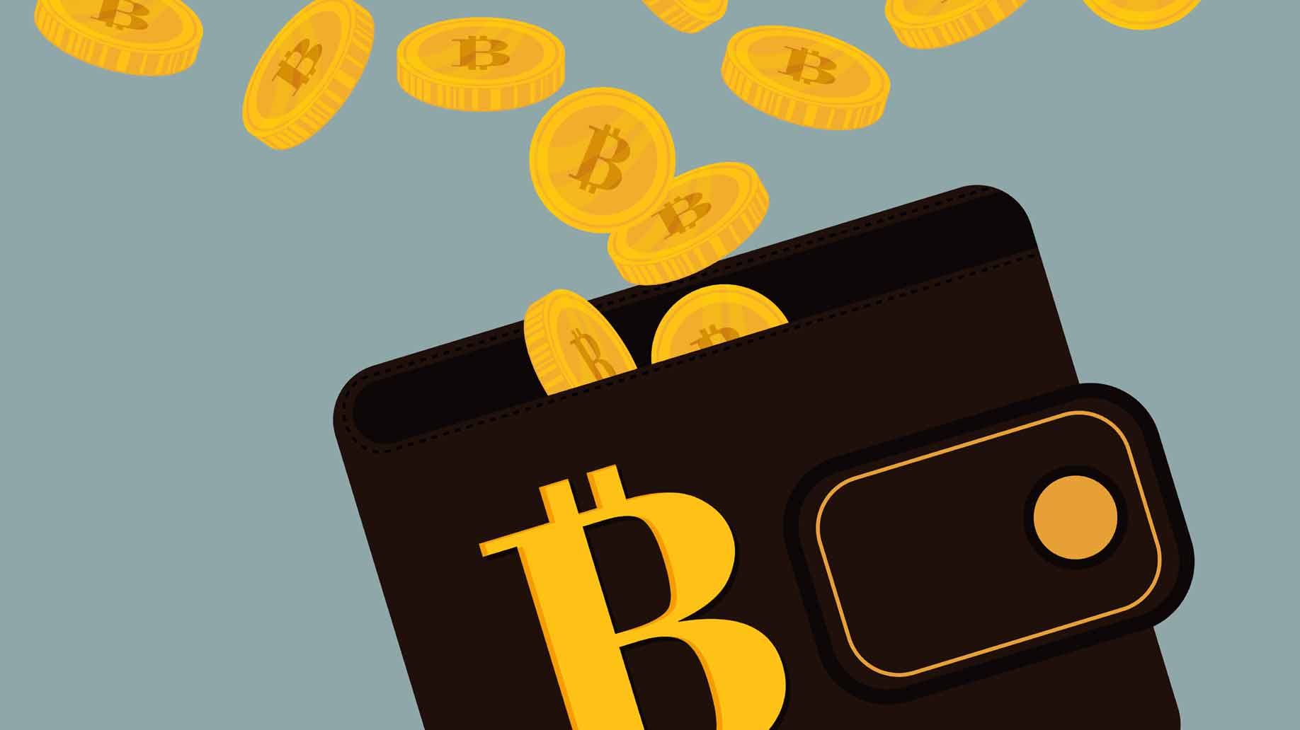 Wallet-Criptomoneda-Bitcoin