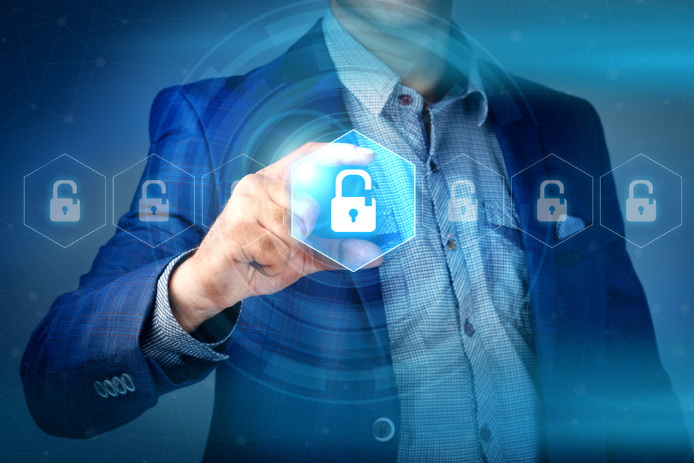 Vulnerabilidades en Softwares