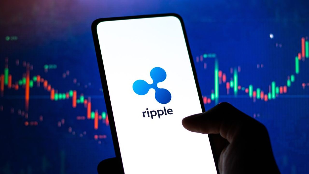 Paras Ripple Ripple alega que la SEC incumple con los requisitos para apelar en su ...