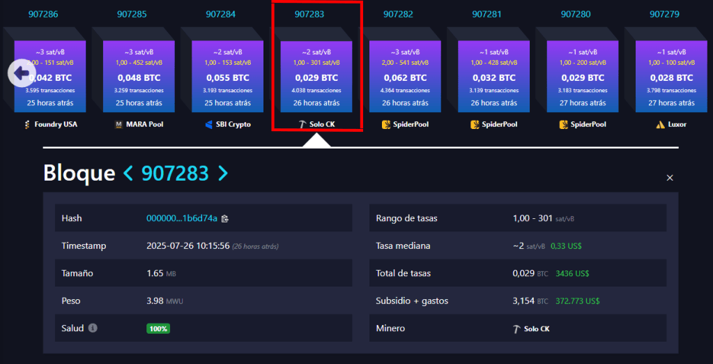 Un minero de Bitcoin solitario logró la hazaña con apenas 48TH/s.