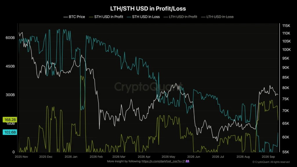 Las ballenas de Bitcoin de corto plazo superan un mes en territorio de ganancias, lo que señala un posible final del mercado bajista. Fuente: CryptoQuant.